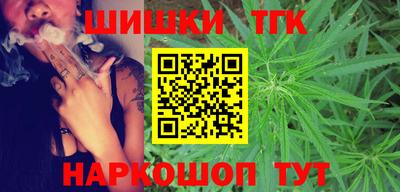 стафф Гатчина