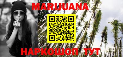 стафф Гатчина