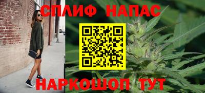 стафф Гатчина