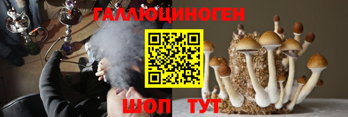 Псилоцибиновые грибы мухоморы  Вход с VPN  продажа наркотиков  Заречный 