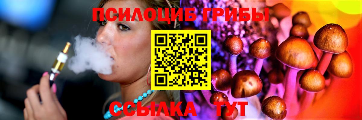 Галлюциногенные грибы Psilocybe Заречный